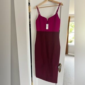 NWT Express Colorblock Bodycon Dress